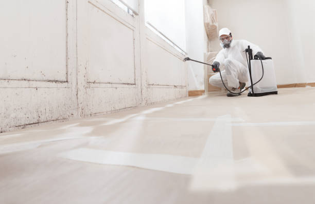 24/7 Emergency Mold Remediation experts in Ashland, VA